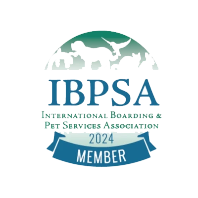 IBPSA